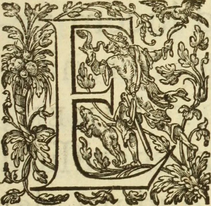 An illustration from Francisci Haraei Annales ducum seu principum Brabantiae totiusq. Belgii : tomi tres : quorum primo solius Brabantiae, secundo Belgii vniti principum res gestae, tertio belgici tumultus, vsque ad inducias anno M. DC. IX. pactas, enarrantur : cum ducum seu principum imaginibus, et breui rerum per omnem Europam illustrium narratione, 1623, leaf 8