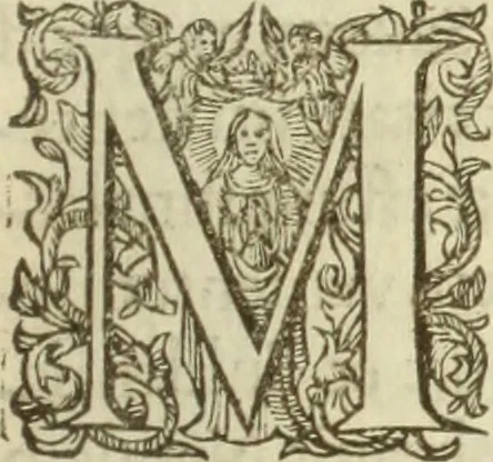 An illustration from Francisci Haraei Annales ducum seu principum Brabantiae totiusq. Belgii : tomi tres : quorum primo solius Brabantiae, secundo Belgii vniti principum res gestae, tertio belgici tumultus, vsque ad inducias anno M. DC. IX. pactas, enarrantur : cum ducum seu principum imaginibus, et breui rerum per omnem Europam illustrium narratione, 1623, leaf 84