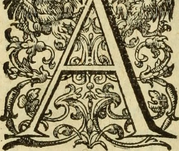 An illustration from Francisci Haraei Annales ducum seu principum Brabantiae totiusq. Belgii : tomi tres : quorum primo solius Brabantiae, secundo Belgii vniti principum res gestae, tertio belgici tumultus, vsque ad inducias anno M. DC. IX. pactas, enarrantur : cum ducum seu principum imaginibus, et breui rerum per omnem Europam illustrium narratione, 1623, leaf 575