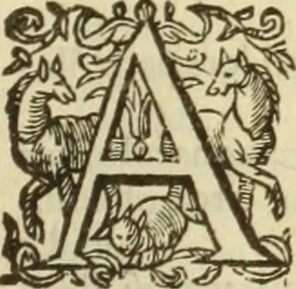An illustration from Francisci Haraei Annales ducum seu principum Brabantiae totiusq. Belgii : tomi tres : quorum primo solius Brabantiae, secundo Belgii vniti principum res gestae, tertio belgici tumultus, vsque ad inducias anno M. DC. IX. pactas, enarrantur : cum ducum seu principum imaginibus, et breui rerum per omnem Europam illustrium narratione, 1623, leaf 688