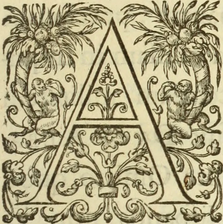 An illustration from Francisci Haraei Annales ducum seu principum Brabantiae totiusq. Belgii : tomi tres : quorum primo solius Brabantiae, secundo Belgii vniti principum res gestae, tertio belgici tumultus, vsque ad inducias anno M. DC. IX. pactas, enarrantur : cum ducum seu principum imaginibus, et breui rerum per omnem Europam illustrium narratione, 1623, leaf 8