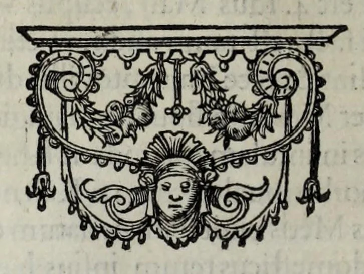 An illustration from Francisci Haraei Annales ducum seu principum Brabantiae totiusq. Belgii : tomi tres, quorum primo solius Brabantiae, secundo Belgii vniti principum res gestae, tertio Belgici tumultus, vsque ad indvcias anno M. DC. IX. pactas, enarrantur : cum dvcvm seu principvm imaginibus, et breui rerum per omnem Evropam illustrium narratione, 1623, leaf 110