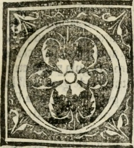 An illustration from Francisci Marii Grapaldi poetae laureati De partibus aedium : addita modo verborum explicatione, quae in eodem libro continentur : opus sane elegans & eruditum : tum propter multiugam variarum rerum lectionem cu propter M. Vitruuii & Cornelii Celsi emaculatas dictiones : quae apud ipsos vel Medosae vel obscurae videbatur, 1516, leaf 142