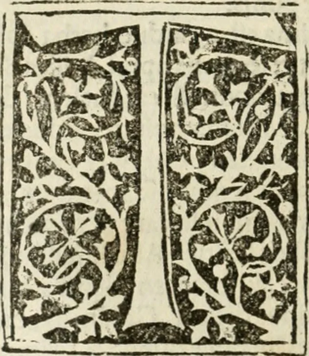 An illustration from Francisci Marii Grapaldi poetae laureati De partibus aedium : addita modo verborum explicatione, quae in eodem libro continentur : opus sane elegans & eruditum : tum propter multiugam variarum rerum lectionem cu propter M. Vitruuii & Cornelii Celsi emaculatas dictiones : quae apud ipsos vel Medosae vel obscurae videbatur, 1516, leaf 155