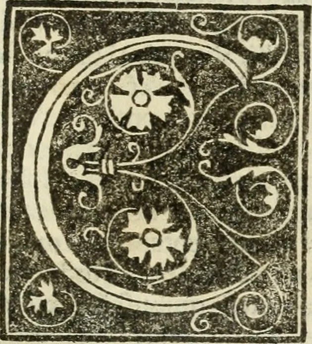 An illustration from Francisci Marii Grapaldi poetae laureati De partibus aedium : addita modo verborum explicatione, quae in eodem libro continentur : opus sane elegans & eruditum : tum propter multiugam variarum rerum lectionem cu propter M. Vitruuii & Cornelii Celsi emaculatas dictiones : quae apud ipsos vel Medosae vel obscurae videbatur, 1516, leaf 168