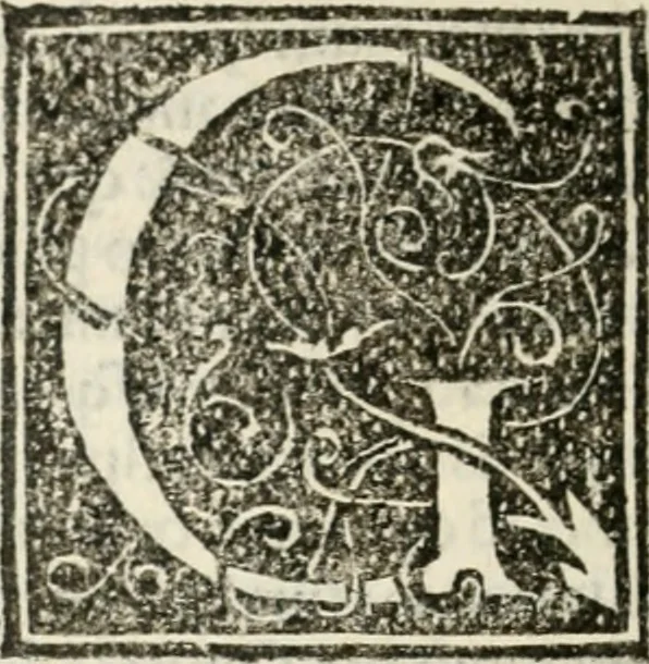 An illustration from Francisci Marii Grapaldi poetae laureati De partibus aedium : addita modo verborum explicatione, quae in eodem libro continentur : opus sane elegans & eruditum : tum propter multiugam variarum rerum lectionem cu propter M. Vitruuii & Cornelii Celsi emaculatas dictiones : quae apud ipsos vel Medosae vel obscurae videbatur, 1516, leaf 227