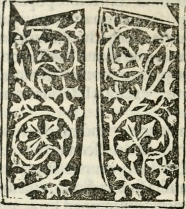 An illustration from Francisci Marii Grapaldi poetae laureati De partibus aedium : addita modo verborum explicatione, quae in eodem libro continentur : opus sane elegans & eruditum : tum propter multiugam variarum rerum lectionem cu propter M. Vitruuii & Cornelii Celsi emaculatas dictiones : quae apud ipsos vel Medosae vel obscurae videbatur, 1516, leaf 303