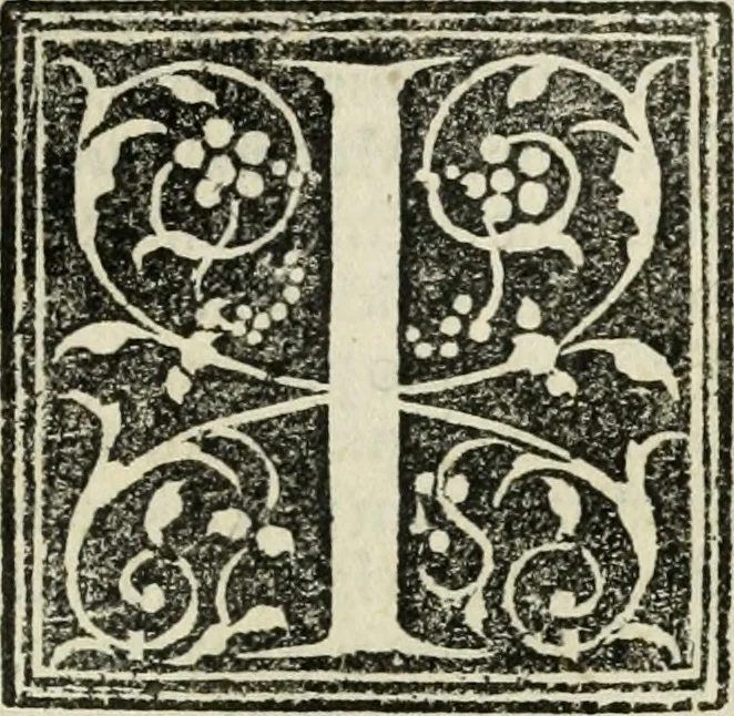 An illustration from Francisci Marii Grapaldi poetae laureati De partibus aedium : addita modo verborum explicatione, quae in eodem libro continentur : opus sane elegans & eruditum : tum propter multiugam variarum rerum lectionem cu propter M. Vitruuii & Cornelii Celsi emaculatas dictiones : quae apud ipsos vel Medosae vel obscurae videbatur, 1516, leaf 310