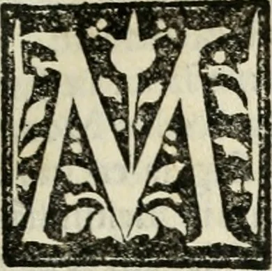 An illustration from Francisci Marii Grapaldi poetae laureati De partibus aedium : addita modo verborum explicatione, quae in eodem libro continentur : opus sane elegans & eruditum : tum propter multiugam variarum rerum lectionem cu propter M. Vitruuii & Cornelii Celsi emaculatas dictiones : quae apud ipsos vel Medosae vel obscurae videbatur, 1516, leaf 444