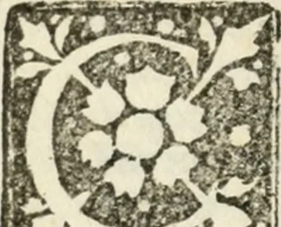 An illustration from Francisci Marii Grapaldi poetae laureati De partibus aedium : addita modo verborum explicatione, quae in eodem libro continentur : opus sane elegans & eruditum : tum propter multiugam variarum rerum lectionem cu propter M. Vitruuii & Cornelii Celsi emaculatas dictiones : quae apud ipsos vel Medosae vel obscurae videbatur, 1516, leaf 45