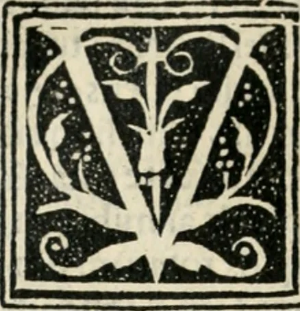 An illustration from Francisci Marii Grapaldi poetae laureati De partibus aedium : addita modo verborum explicatione, quae in eodem libro continentur : opus sane elegans & eruditum : tum propter multiugam variarum rerum lectionem cu propter M. Vitruuii & Cornelii Celsi emaculatas dictiones : quae apud ipsos vel Medosae vel obscurae videbatur, 1516, leaf 557