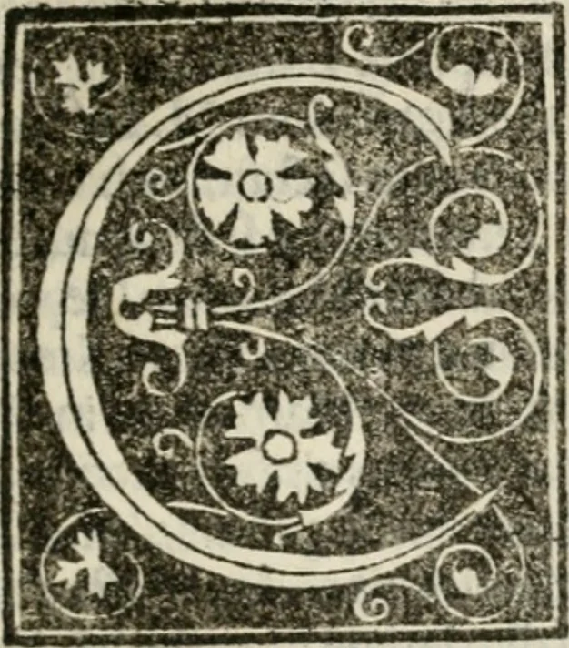 An illustration from Francisci Marii Grapaldi poetae laureati De partibus aedium : addita modo verborum explicatione, quae in eodem libro continentur : opus sane elegans & eruditum : tum propter multiugam variarum rerum lectionem cu propter M. Vitruuii & Cornelii Celsi emaculatas dictiones : quae apud ipsos vel Medosae vel obscurae videbatur, 1516, leaf 64