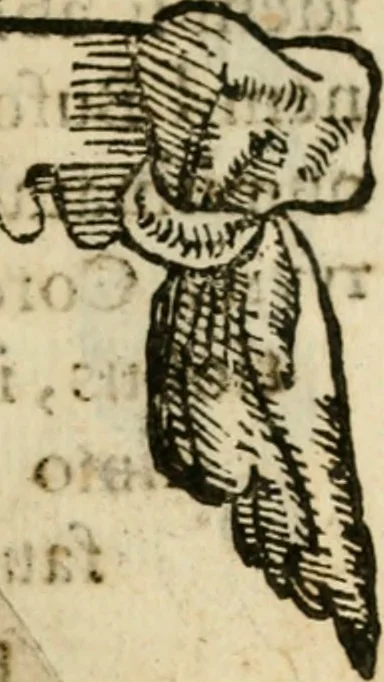 An illustration from Francisci Ponae Cardiomorphoseos, siue, Ex corde desumpta emblemata sacra, 1645, leaf 114