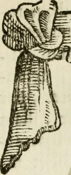 An illustration from Francisci Ponae Cardiomorphoseos, siue, Ex corde desumpta emblemata sacra, 1645, leaf 14