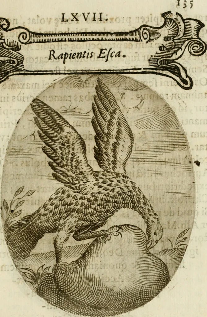 An illustration from Francisci Ponae Cardiomorphoseos, siue, Ex corde desumpta emblemata sacra, 1645, leaf 146