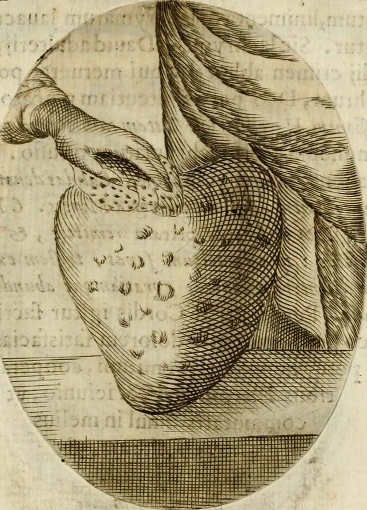 An illustration from Francisci Ponae Cardiomorphoseos, siue, Ex corde desumpta emblemata sacra, 1645, leaf 176