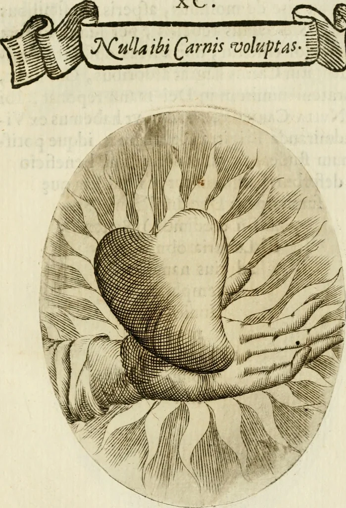 An illustration from Francisci Ponae Cardiomorphoseos, siue, Ex corde desumpta emblemata sacra, 1645, leaf 194