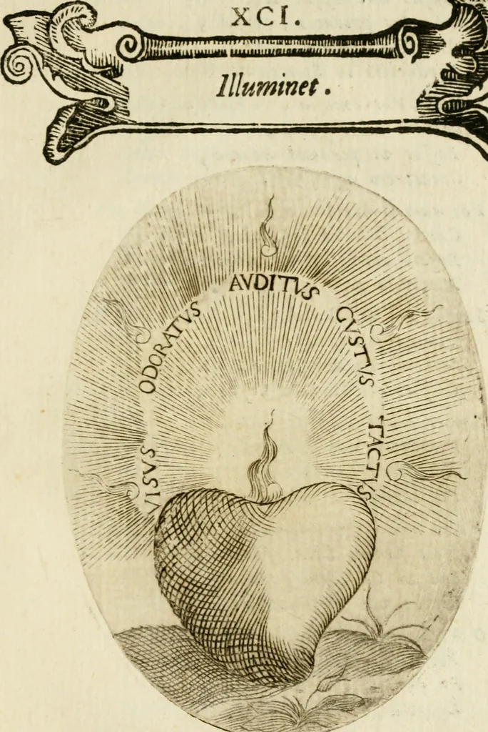 An illustration from Francisci Ponae Cardiomorphoseos, siue, Ex corde desumpta emblemata sacra, 1645, leaf 196
