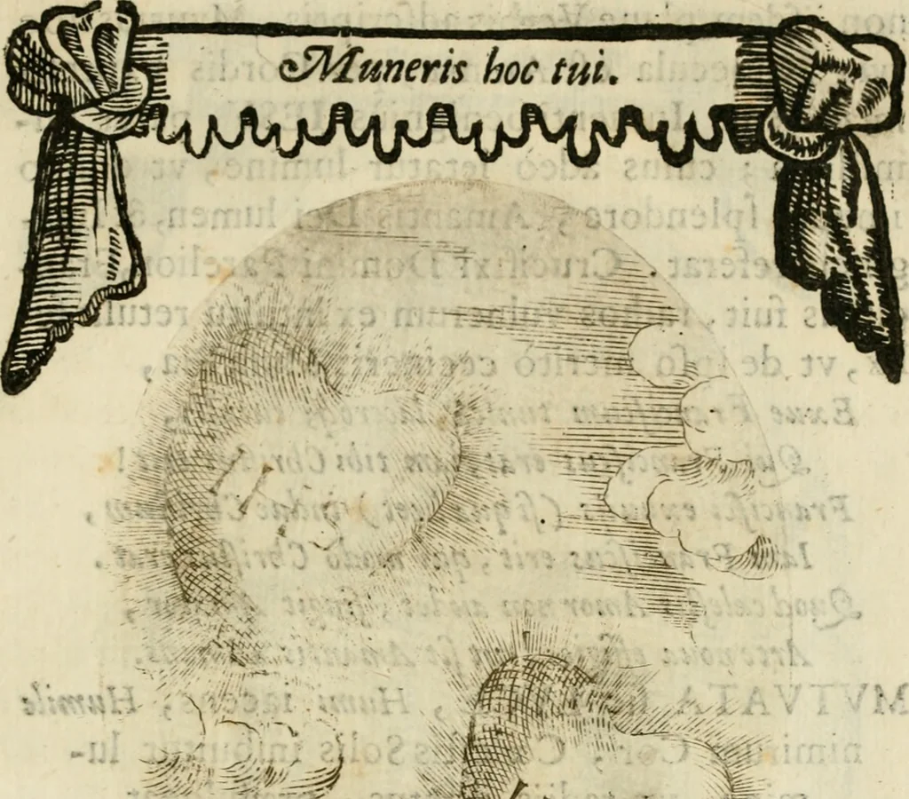 An illustration from Francisci Ponae Cardiomorphoseos, siue, Ex corde desumpta emblemata sacra, 1645, leaf 204
