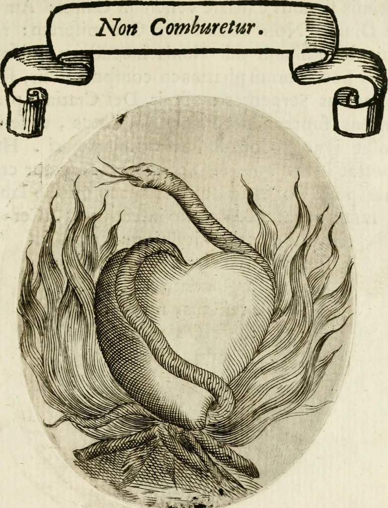 An illustration from Francisci Ponae Cardiomorphoseos, siue, Ex corde desumpta emblemata sacra, 1645, leaf 36