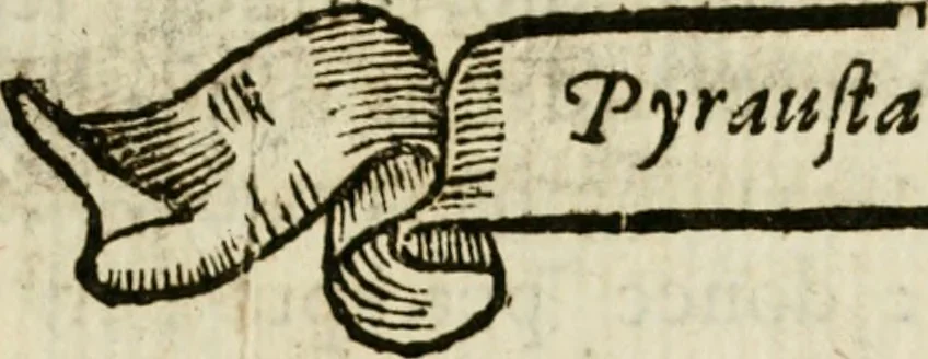 An illustration from Francisci Ponae Cardiomorphoseos, siue, Ex corde desumpta emblemata sacra, 1645, leaf 48