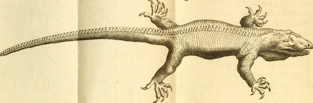 An illustration from Francisci Redi, nobilis Aretini, Experimenta circa res diversas naturales, speciatim illas, quae ex Indiis adferuntur. Ex Italico Latinitate donata, 1675, leaf 119