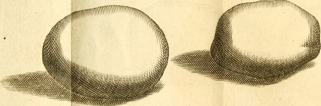 An illustration from Francisci Redi, nobilis Aretini, Experimenta circa res diversas naturales, speciatim illas, quae ex Indiis adferuntur. Ex Italico Latinitate donata, 1675, leaf 119