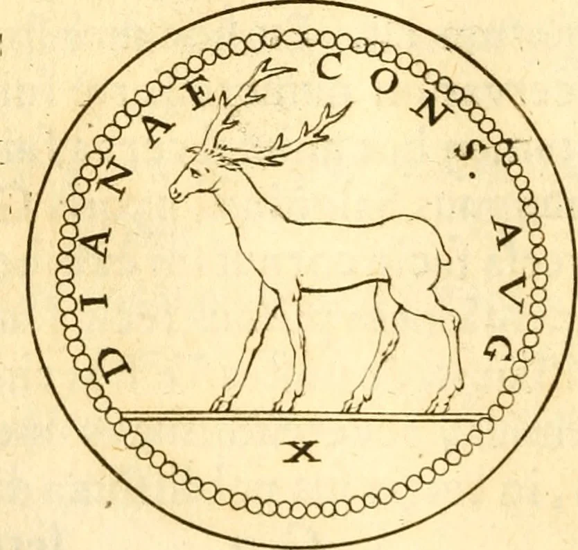An illustration from Francisci Redi, nobilis Aretini, Experimenta circa res diversas naturales, speciatim illas, quae ex Indiis adferuntur. Ex Italico Latinitate donata, 1675, leaf 173