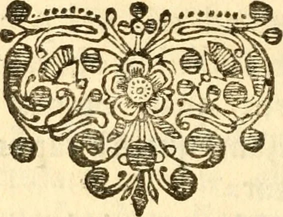 An illustration from Francisci Redi, nobilis Aretini, Experimenta circa res diversas naturales, speciatim illas, quae ex Indiis adferuntur. Ex Italico Latinitate donata, 1675, leaf 433