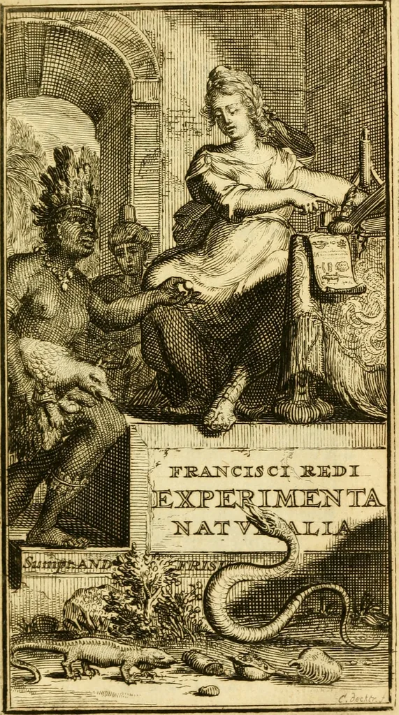 An illustration from Francisci Redi, nobilis Aretini, Experimenta circa res diversas naturales, speciatim illas, quae ex Indiis adferuntur. Ex Italico Latinitate donata, 1675, leaf 6