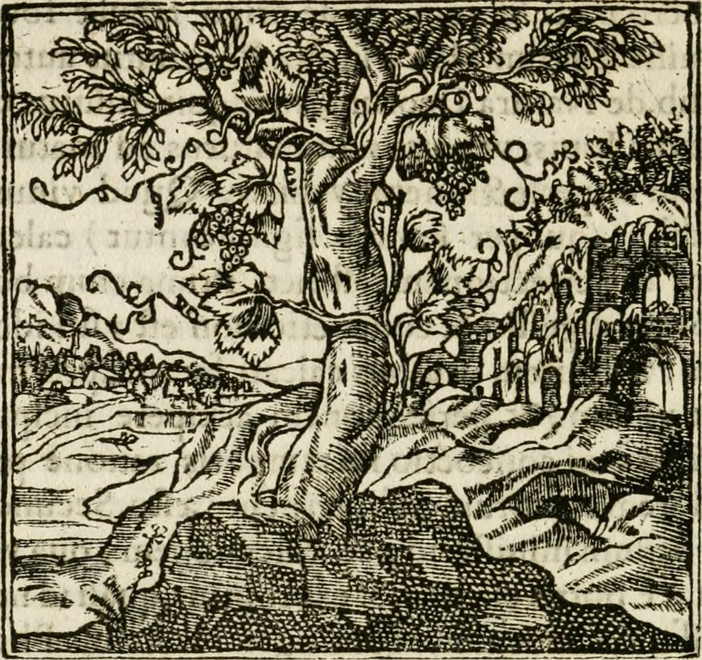An illustration from Francisci Sanctii Brocensis in inclyta Salmaticensi Academia rhetoricae Graecaeque linguae professoris Comment. in And. Alciati emblemata : nunc denuo multis in locis accurate recognita, & quamplurimis figuris illustrata : cum indice copiosissimo, 1573, leaf 103
