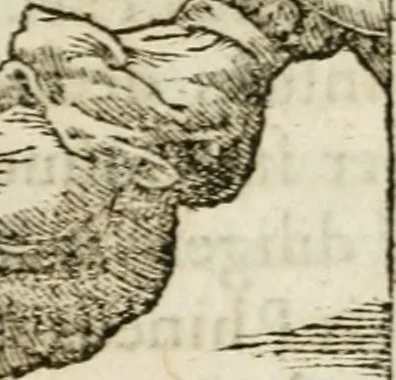 An illustration from Francisci Sanctii Brocensis in inclyta Salmaticensi Academia rhetoricae Graecaeque linguae professoris Comment. in And. Alciati emblemata : nunc denuo multis in locis accurate recognita, & quamplurimis figuris illustrata : cum indice copiosissimo, 1573, leaf 136