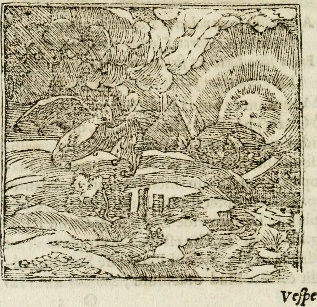 An illustration from Francisci Sanctii Brocensis in inclyta Salmaticensi Academia rhetoricae Graecaeque linguae professoris Comment. in And. Alciati emblemata : nunc denuo multis in locis accurate recognita, & quamplurimis figuris illustrata : cum indice copiosissimo, 1573, leaf 215