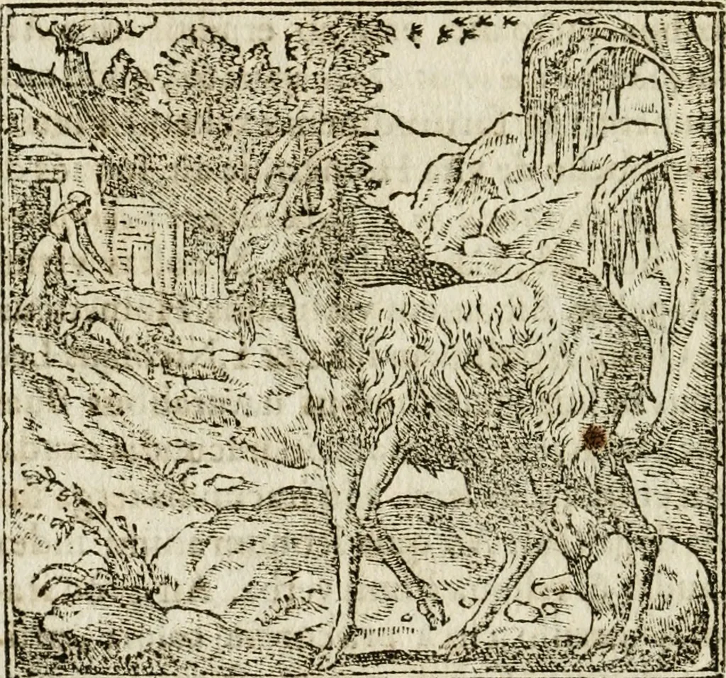 An illustration from Francisci Sanctii Brocensis in inclyta Salmaticensi Academia rhetoricae Graecaeque linguae professoris Comment. in And. Alciati emblemata : nunc denuo multis in locis accurate recognita, & quamplurimis figuris illustrata : cum indice copiosissimo, 1573, leaf 219