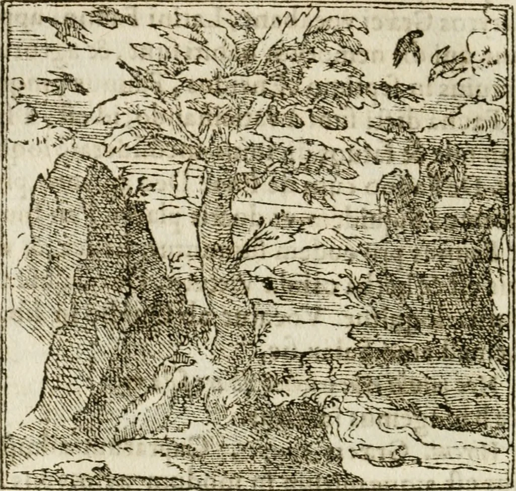 An illustration from Francisci Sanctii Brocensis in inclyta Salmaticensi Academia rhetoricae Graecaeque linguae professoris Comment. in And. Alciati emblemata : nunc denuo multis in locis accurate recognita, & quamplurimis figuris illustrata : cum indice copiosissimo, 1573, leaf 241