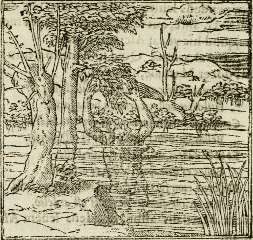 An illustration from Francisci Sanctii Brocensis in inclyta Salmaticensi Academia rhetoricae Graecaeque linguae professoris Comment. in And. Alciati emblemata : nunc denuo multis in locis accurate recognita, & quamplurimis figuris illustrata : cum indice copiosissimo, 1573, leaf 267