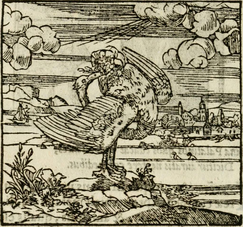 An illustration from Francisci Sanctii Brocensis in inclyta Salmaticensi Academia rhetoricae Graecaeque linguae professoris Comment. in And. Alciati emblemata : nunc denuo multis in locis accurate recognita, & quamplurimis figuris illustrata : cum indice copiosissimo, 1573, leaf 273