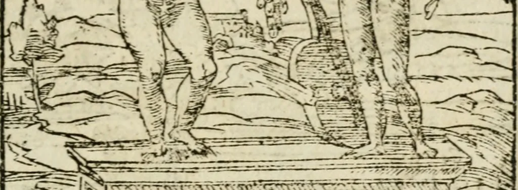 An illustration from Francisci Sanctii Brocensis in inclyta Salmaticensi Academia rhetoricae Graecaeque linguae professoris Comment. in And. Alciati emblemata : nunc denuo multis in locis accurate recognita, & quamplurimis figuris illustrata : cum indice copiosissimo, 1573, leaf 304