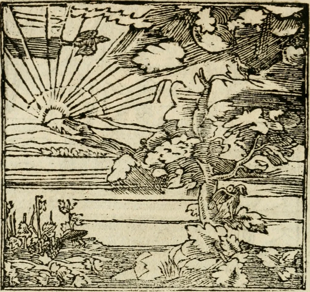 An illustration from Francisci Sanctii Brocensis in inclyta Salmaticensi Academia rhetoricae Graecaeque linguae professoris Comment. in And. Alciati emblemata : nunc denuo multis in locis accurate recognita, & quamplurimis figuris illustrata : cum indice copiosissimo, 1573, leaf 305
