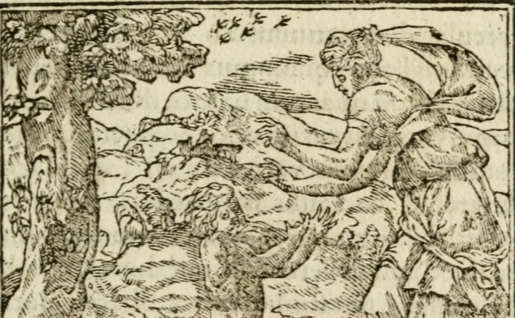 An illustration from Francisci Sanctii Brocensis in inclyta Salmaticensi Academia rhetoricae Graecaeque linguae professoris Comment. in And. Alciati emblemata : nunc denuo multis in locis accurate recognita, & quamplurimis figuris illustrata : cum indice copiosissimo, 1573, leaf 334