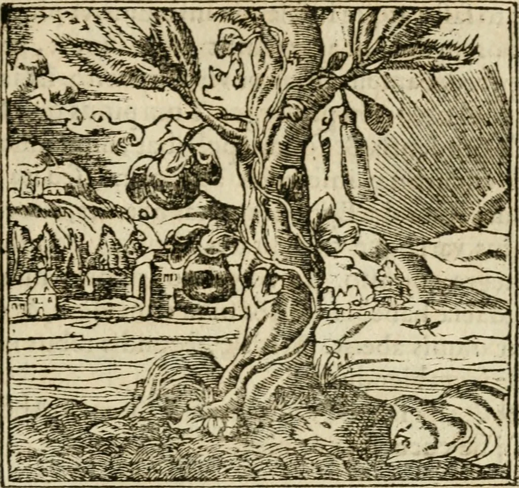 An illustration from Francisci Sanctii Brocensis in inclyta Salmaticensi Academia rhetoricae Graecaeque linguae professoris Comment. in And. Alciati emblemata : nunc denuo multis in locis accurate recognita, & quamplurimis figuris illustrata : cum indice copiosissimo, 1573, leaf 370