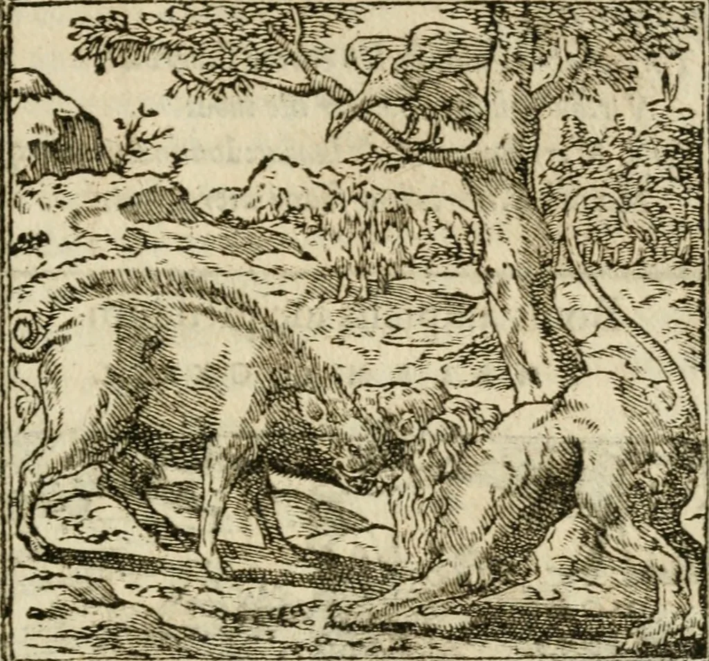 An illustration from Francisci Sanctii Brocensis in inclyta Salmaticensi Academia rhetoricae Graecaeque linguae professoris Comment. in And. Alciati emblemata : nunc denuo multis in locis accurate recognita, & quamplurimis figuris illustrata : cum indice copiosissimo, 1573, leaf 372