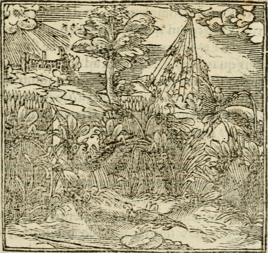 An illustration from Francisci Sanctii Brocensis in inclyta Salmaticensi Academia rhetoricae Graecaeque linguae professoris Comment. in And. Alciati emblemata : nunc denuo multis in locis accurate recognita, & quamplurimis figuris illustrata : cum indice copiosissimo, 1573, leaf 374