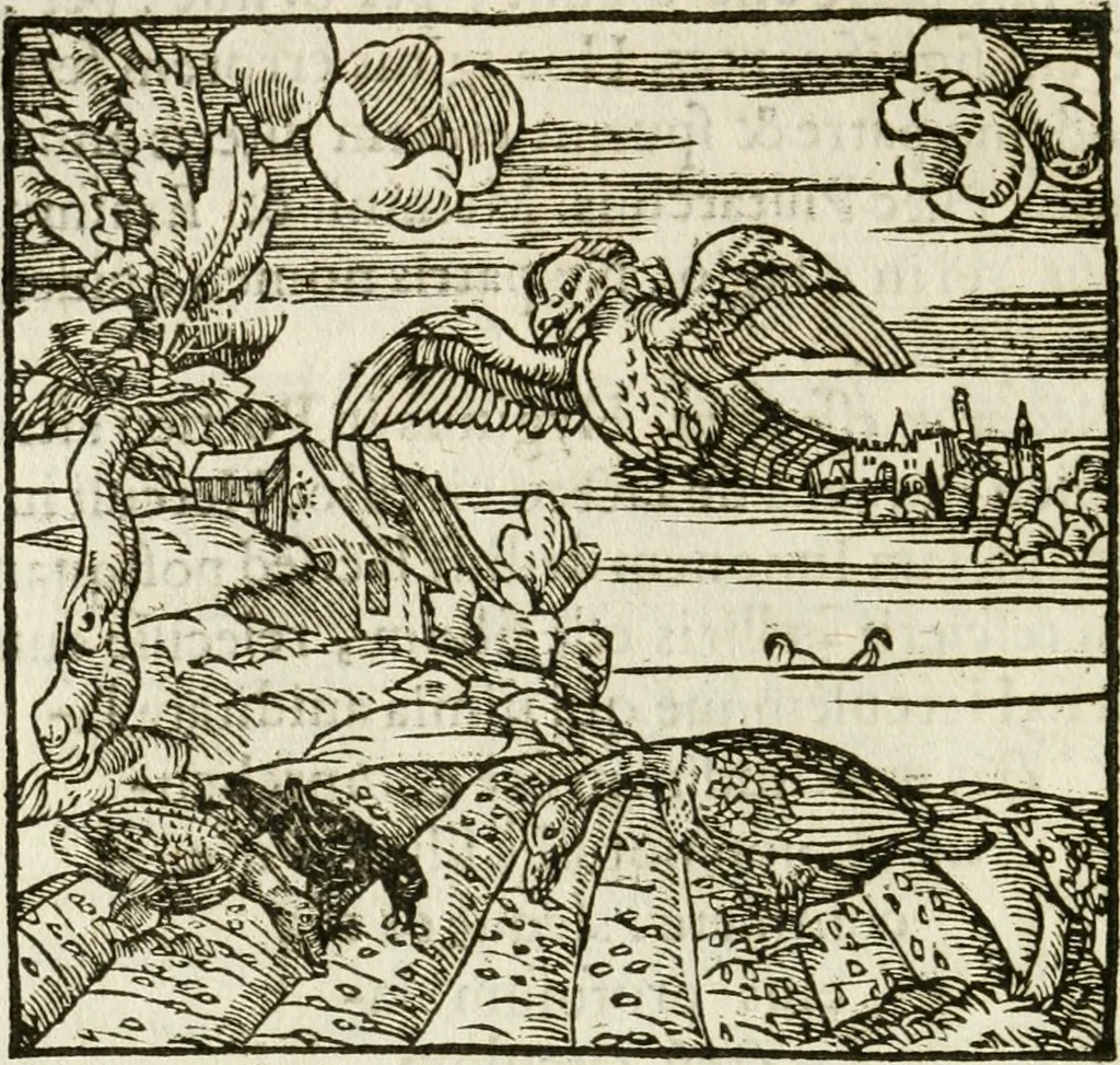 An illustration from Francisci Sanctii Brocensis in inclyta Salmaticensi Academia rhetoricae Graecaeque linguae professoris Comment. in And. Alciati emblemata : nunc denuo multis in locis accurate recognita, & quamplurimis figuris illustrata : cum indice copiosissimo, 1573, leaf 409