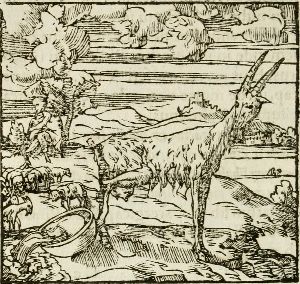 An illustration from Francisci Sanctii Brocensis in inclyta Salmaticensi Academia rhetoricae Graecaeque linguae professoris Comment. in And. Alciati emblemata : nunc denuo multis in locis accurate recognita, & quamplurimis figuris illustrata : cum indice copiosissimo, 1573, leaf 411
