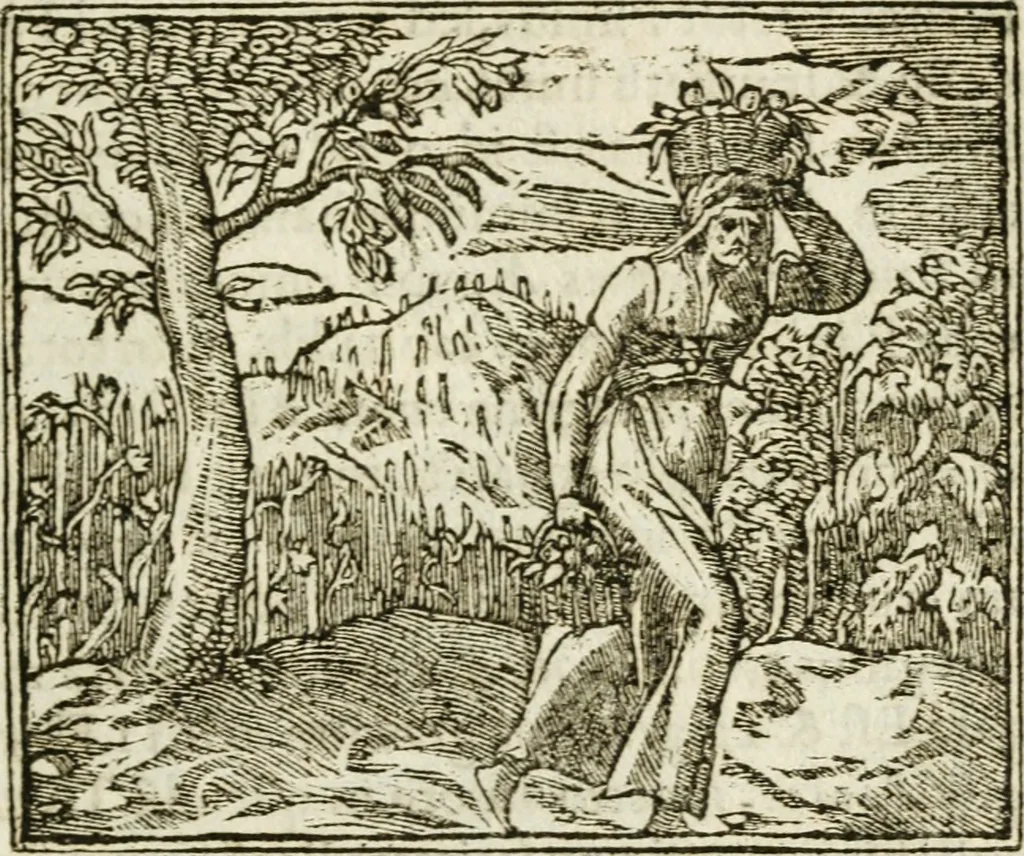 An illustration from Francisci Sanctii Brocensis in inclyta Salmaticensi Academia rhetoricae Graecaeque linguae professoris Comment. in And. Alciati emblemata : nunc denuo multis in locis accurate recognita, & quamplurimis figuris illustrata : cum indice copiosissimo, 1573, leaf 414
