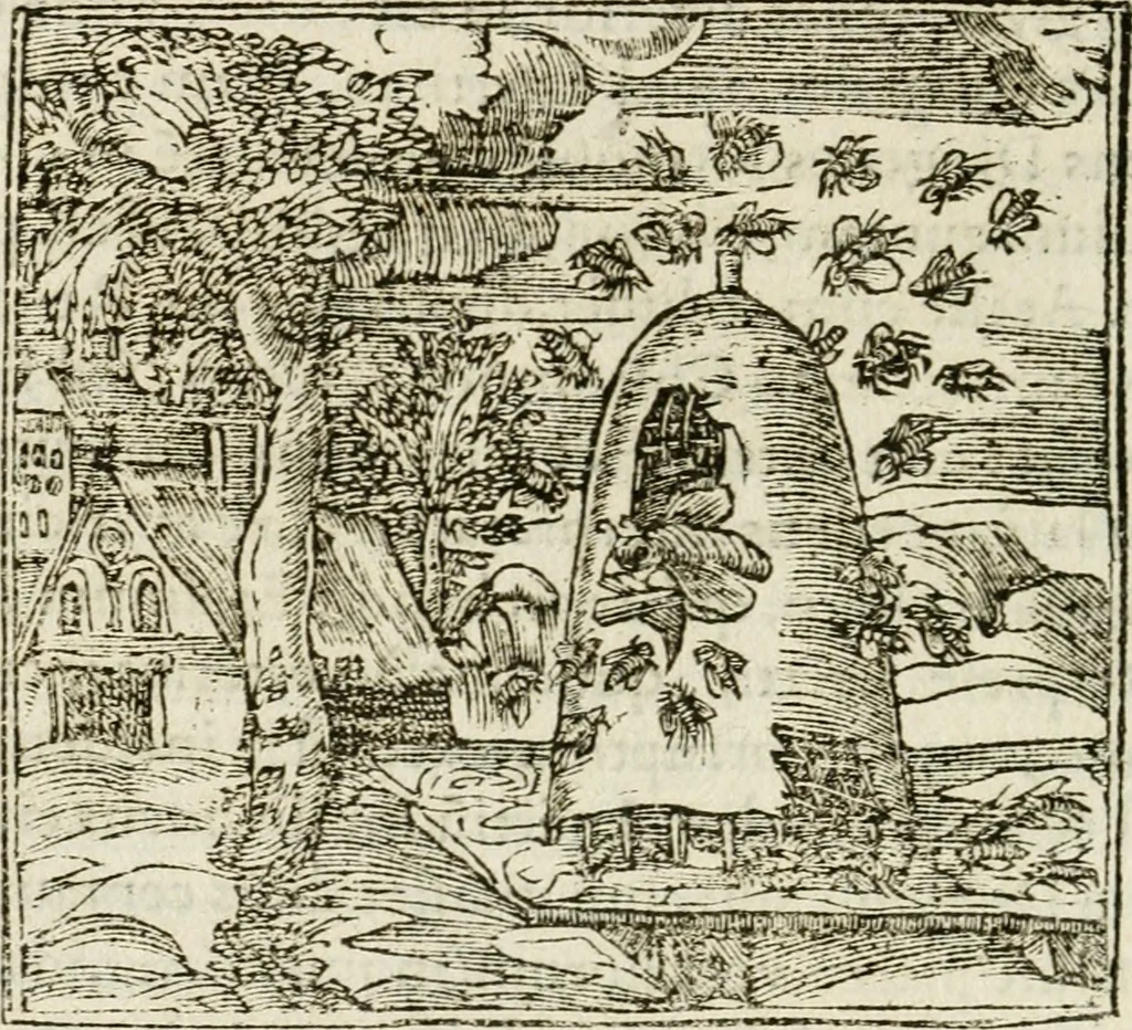 An illustration from Francisci Sanctii Brocensis in inclyta Salmaticensi Academia rhetoricae Graecaeque linguae professoris Comment. in And. Alciati emblemata : nunc denuo multis in locis accurate recognita, & quamplurimis figuris illustrata : cum indice copiosissimo, 1573, leaf 427
