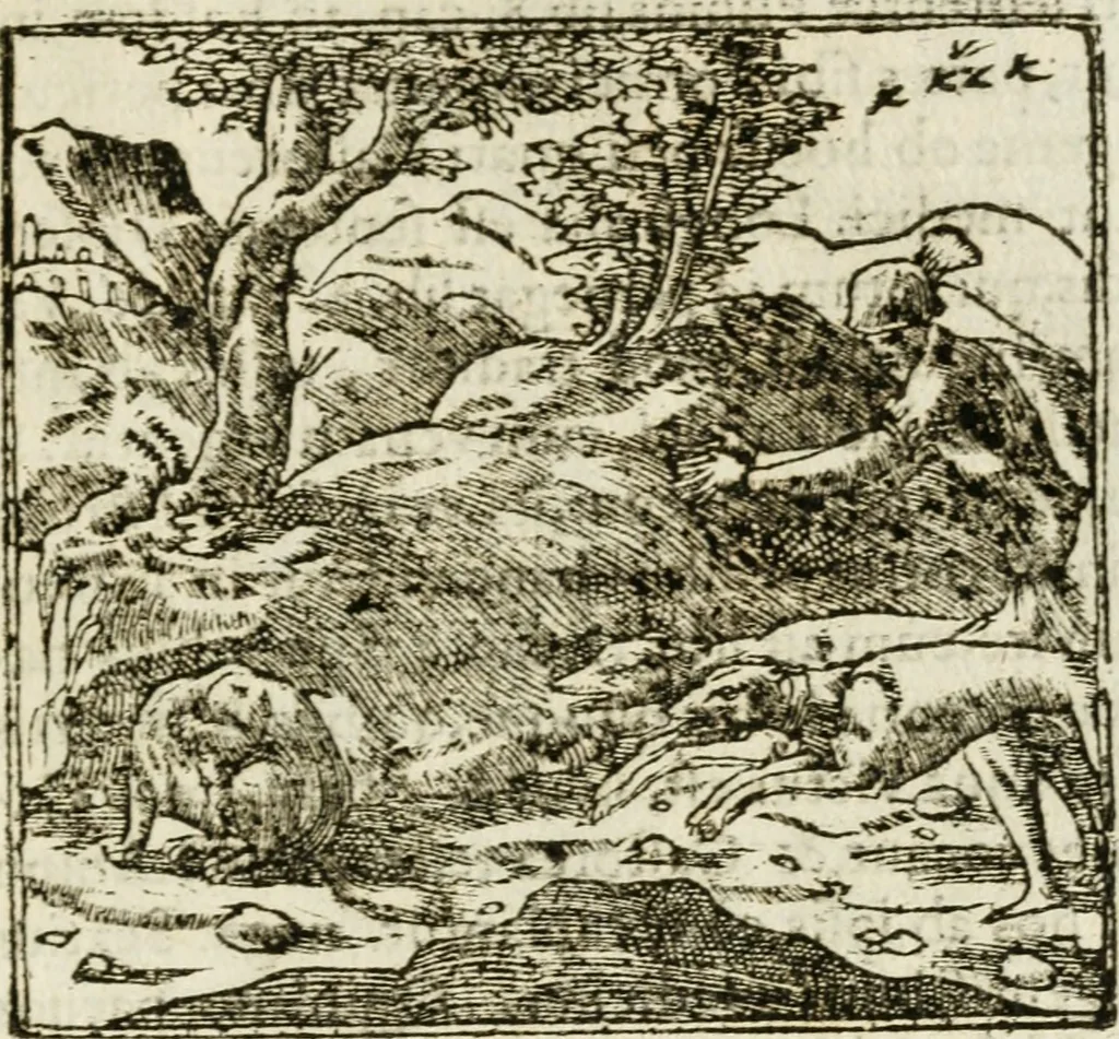 An illustration from Francisci Sanctii Brocensis in inclyta Salmaticensi Academia rhetoricae Graecaeque linguae professoris Comment. in And. Alciati emblemata : nunc denuo multis in locis accurate recognita, & quamplurimis figuris illustrata : cum indice copiosissimo, 1573, leaf 436