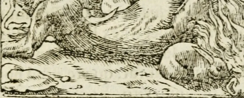 An illustration from Francisci Sanctii Brocensis in inclyta Salmaticensi Academia rhetoricae Graecaeque linguae professoris Comment. in And. Alciati emblemata : nunc denuo multis in locis accurate recognita, & quamplurimis figuris illustrata : cum indice copiosissimo, 1573, leaf 438