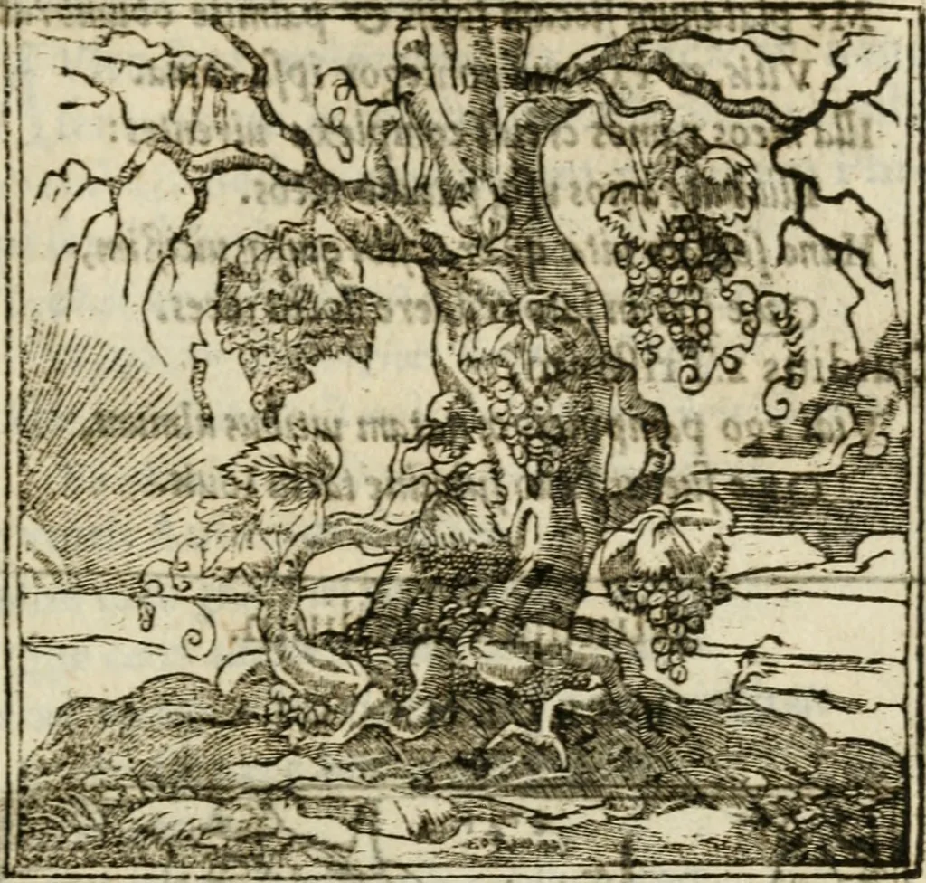 An illustration from Francisci Sanctii Brocensis in inclyta Salmaticensi Academia rhetoricae Graecaeque linguae professoris Comment. in And. Alciati emblemata : nunc denuo multis in locis accurate recognita, & quamplurimis figuris illustrata : cum indice copiosissimo, 1573, leaf 454